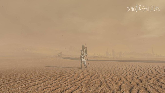 重庆大胡子网络有限公司